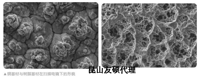 渝中蔡司渝中扫描电镜