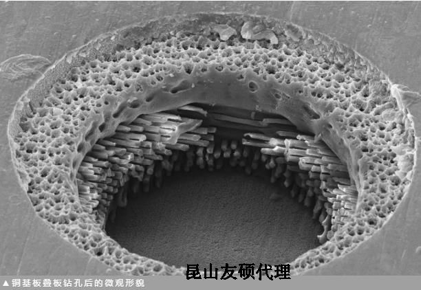 渝中蔡司渝中扫描电镜